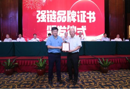 登榜！pp电子入选首批船舶工业“强链品牌”